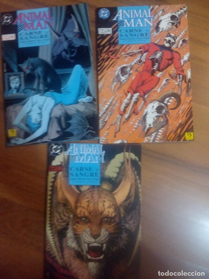 C&oacute;mics: Animal Man - Foto 1