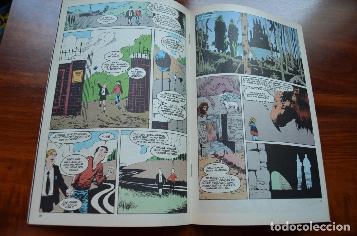 C&oacute;mics: Sandman 18 - Foto 3