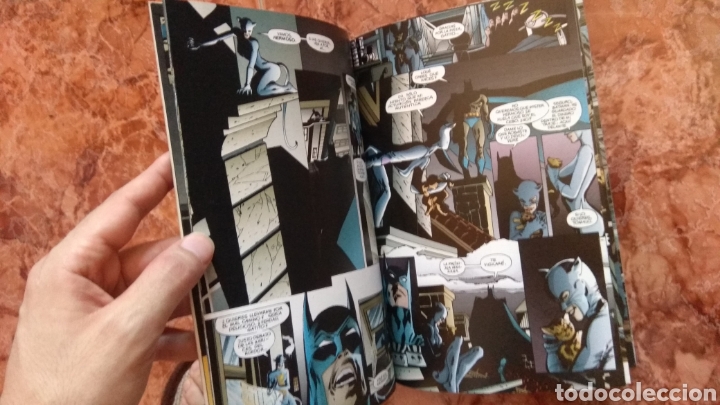 C&oacute;mics: Catwoman Desafiante - Foto 3