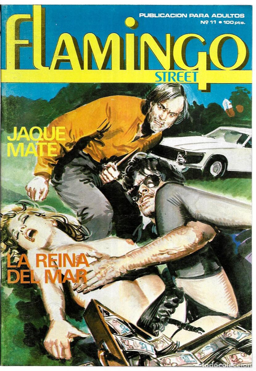 C&oacute;mics: Flamingo Street n&ordm; 11 - Foto 1