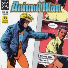 Cómics: ANIMAL MAN Nº 19 (ZINCO, 1990). Lote 401870539