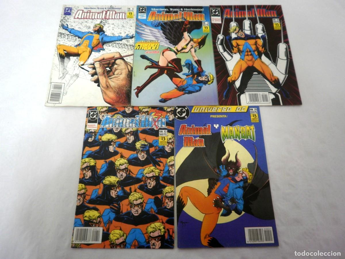 C&oacute;mics: Lote 5 comic Animal Man - Foto 1