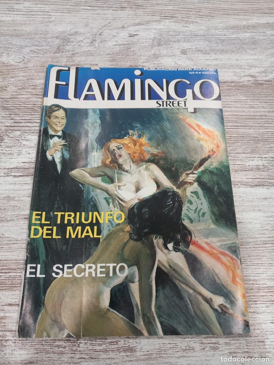 C&oacute;mics: C&oacute;mic flamingo street N&deg; 4 - Foto 1