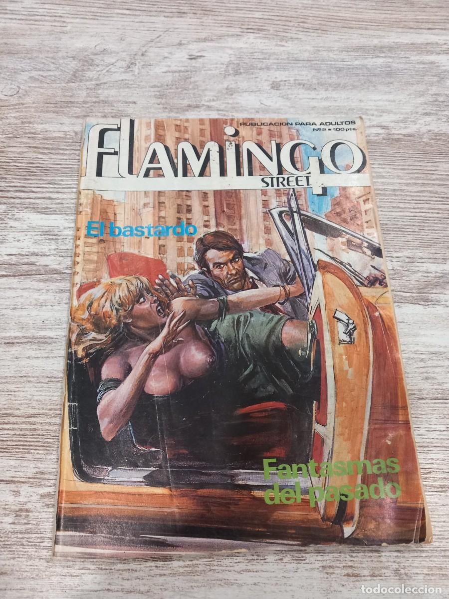 C&oacute;mics: C&oacute;mic flamingo street N&deg; 2 - Foto 1