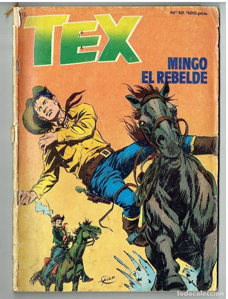 C&oacute;mics: TEX. N&ordm; 12. MINGO EL REBELDE. EDICIONES ZINCO. 1984. (P/D55) - Foto 1