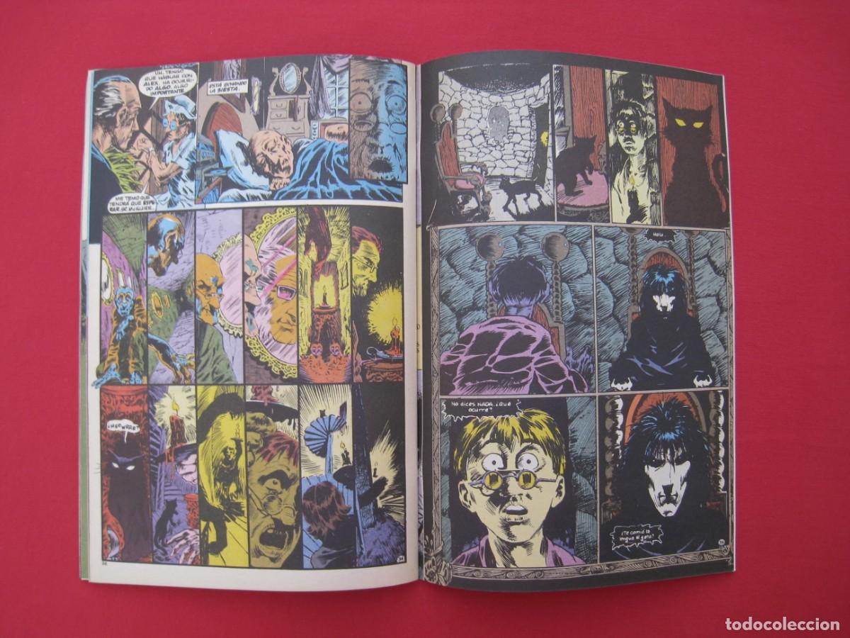 C&oacute;mics: SANDMAN - UNIVERSO DC - N&ordm; 17 - EDICIONES ZINCO. - Foto 13