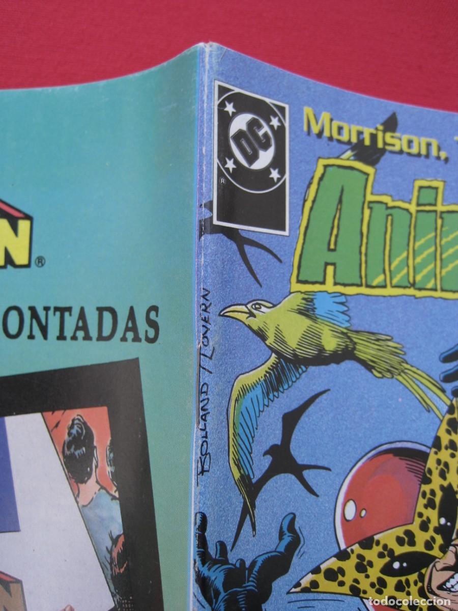 C&oacute;mics: ANIMAL MAN - N&ordm; 4 - EDICIONES ZINCO. - Foto 3
