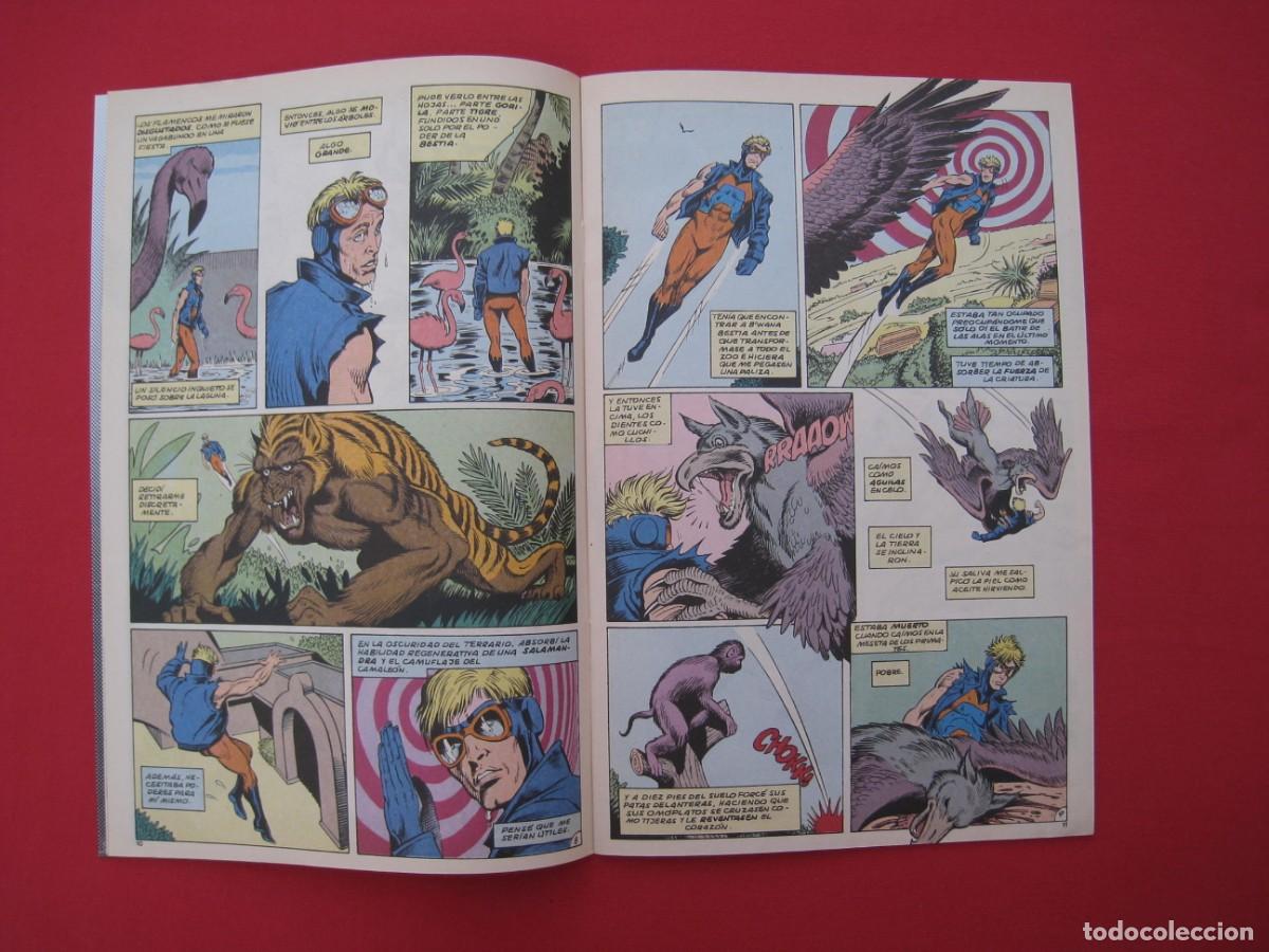 C&oacute;mics: ANIMAL MAN - N&ordm; 4 - EDICIONES ZINCO. - Foto 7