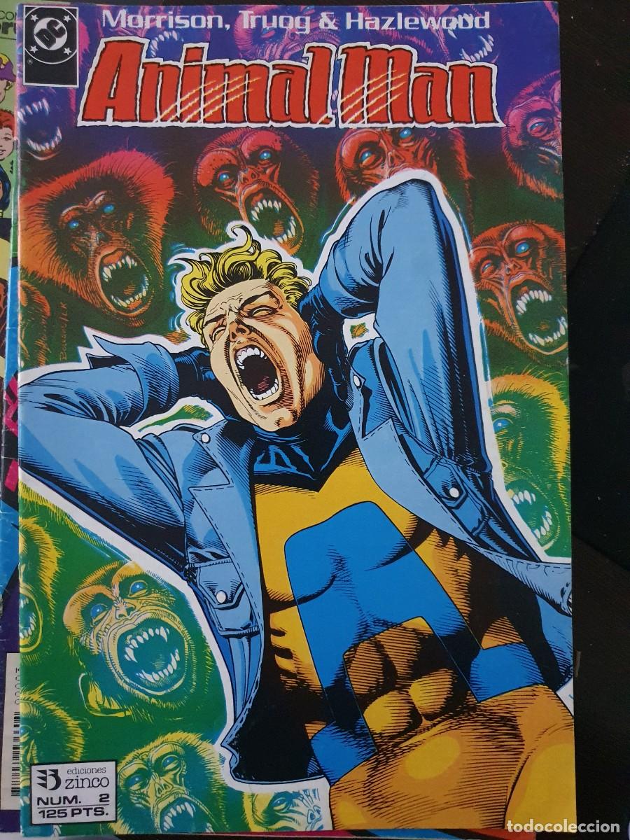 C&oacute;mics: Animal man n&ordm; 2 estado normal comics ediciones zinco - Foto 1