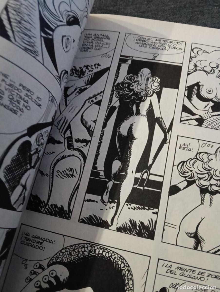 C&oacute;mics: COMIC ZORA LA VAMPIRA N&deg;12 - DE MERCADILLO - Foto 4