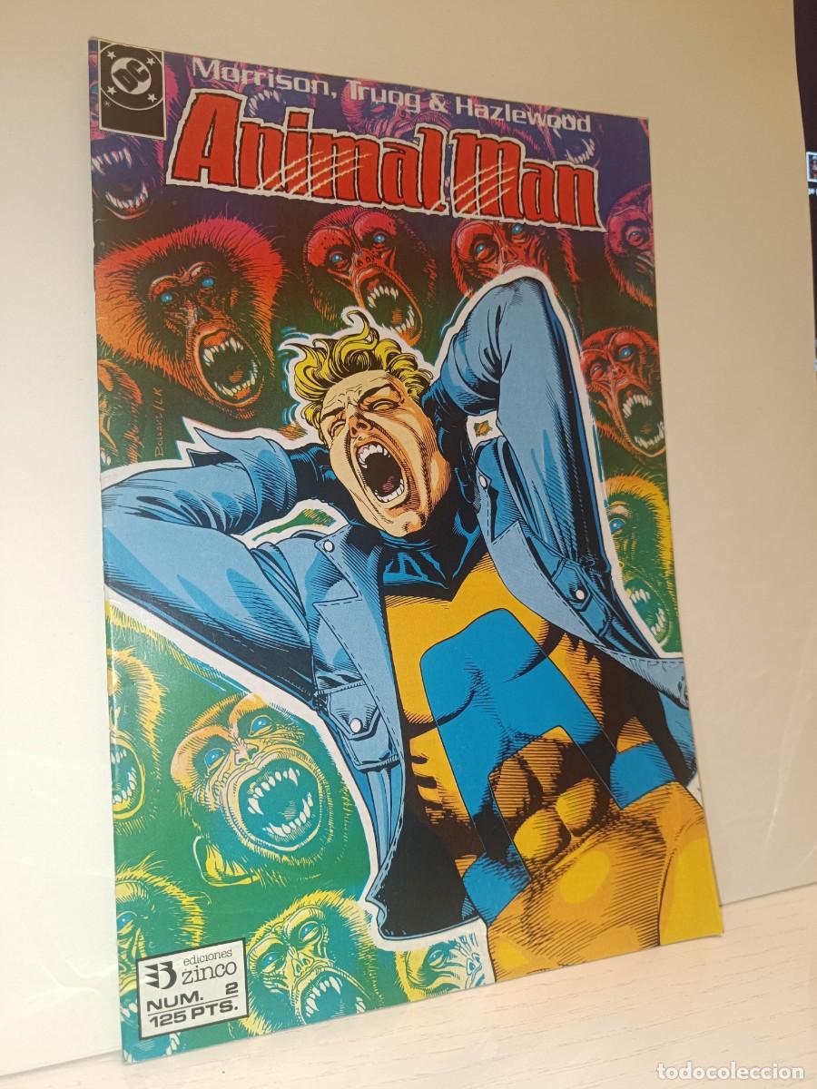 C&oacute;mics: ANIMAL MAN NUMERO 2 EDICIONES ZINCO EXCELENTE ESTADO - Foto 1
