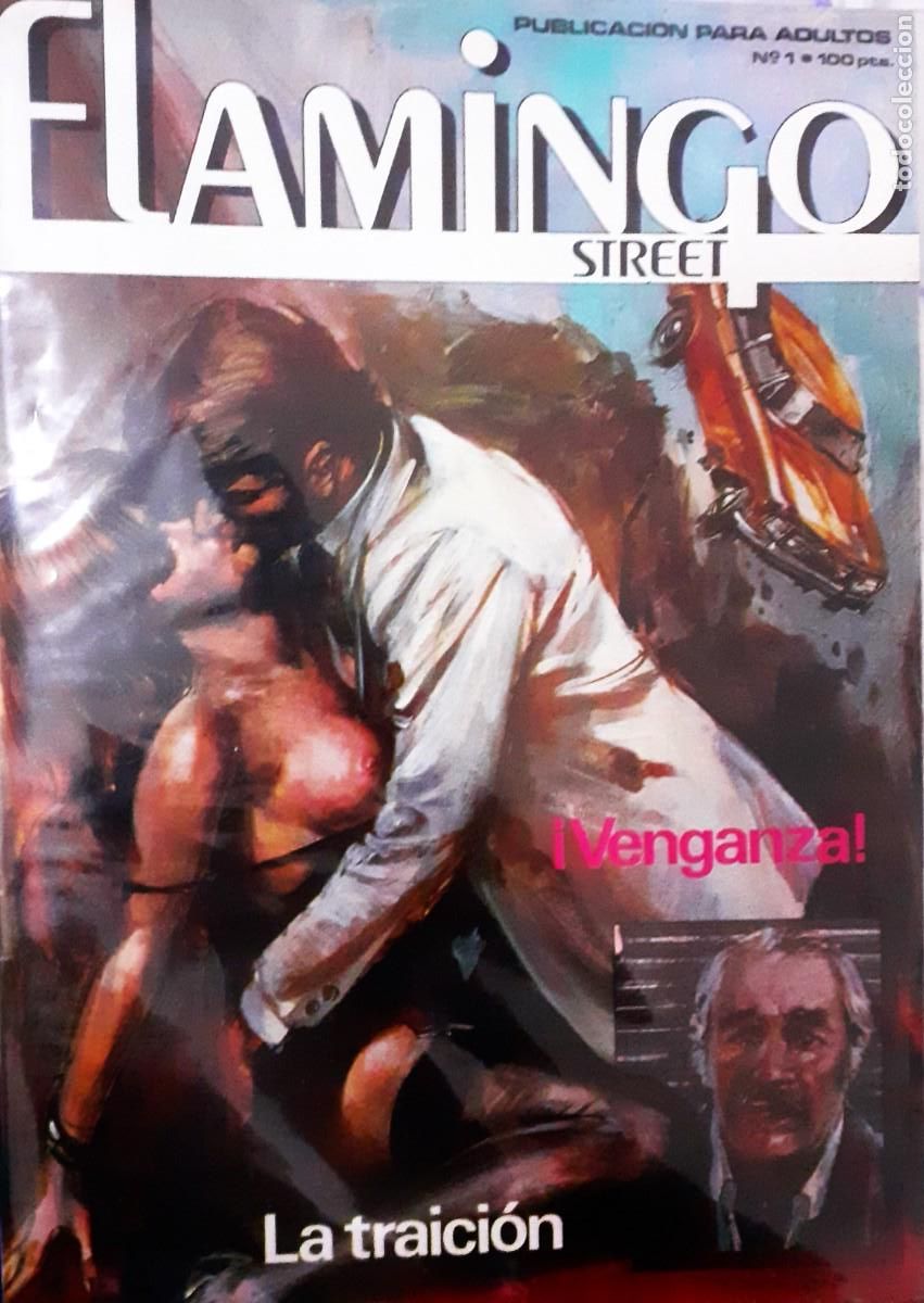C&oacute;mics: FLAMINGO STREET. COMICS. EDICIONES ZINCO. - Foto 1