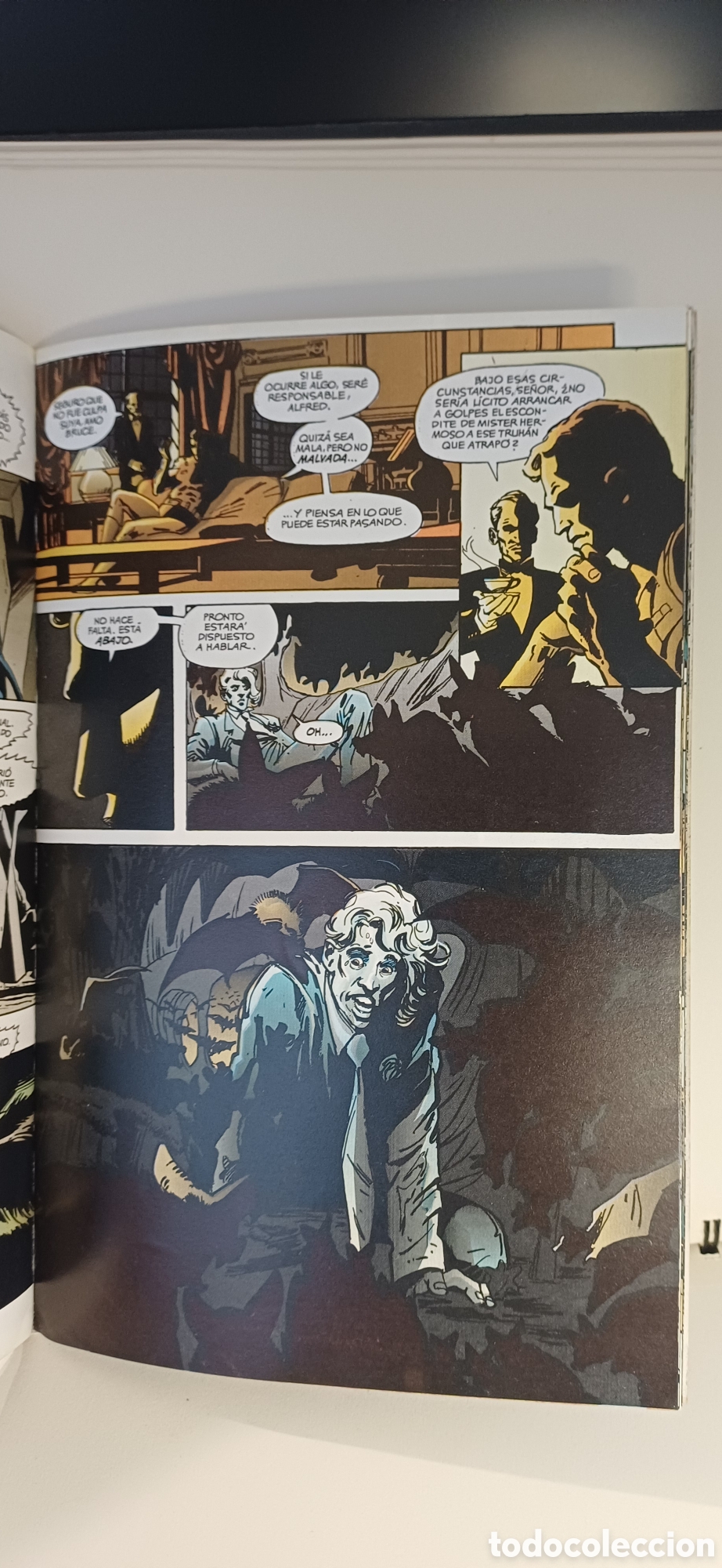 C&oacute;mics: C&oacute;mic Catwoman desafiante. - Foto 3