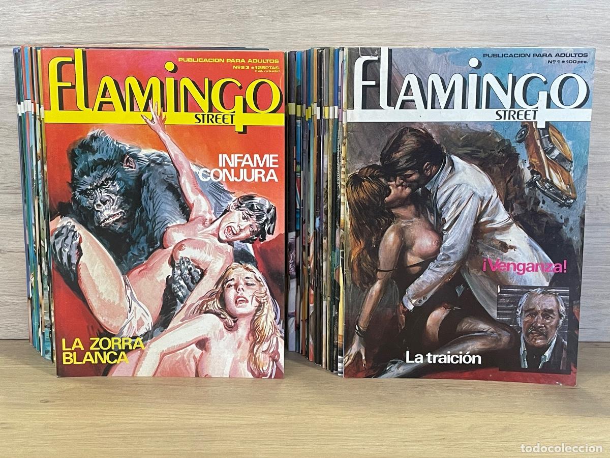 C&oacute;mics: Flamingo Street / Publicaciones para Adultos / Completa 42 n&uacute;meros + 1 Extra / Ediciones Zinco 1984