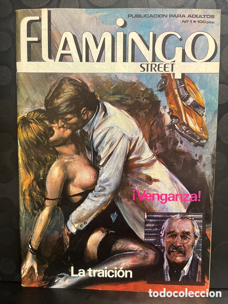 C&oacute;mics: FLAMINGO STREET N.1 PUBLICACI&Oacute;N PARA ADULTOS ( 1984/1988 )