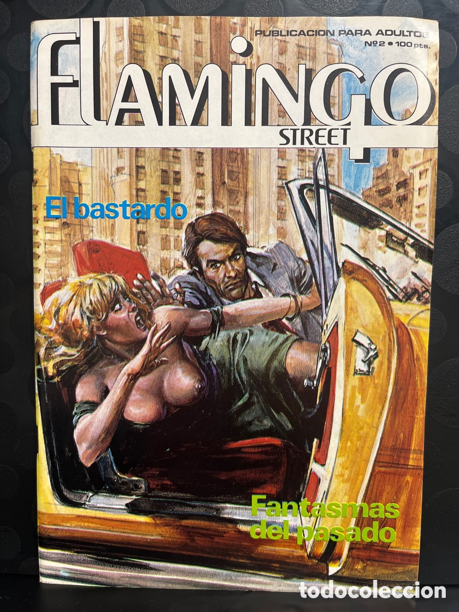 C&oacute;mics: FLAMINGO STREET N.2 PUBLICACI&Oacute;N PARA ADULTOS ( 1984/1988 )