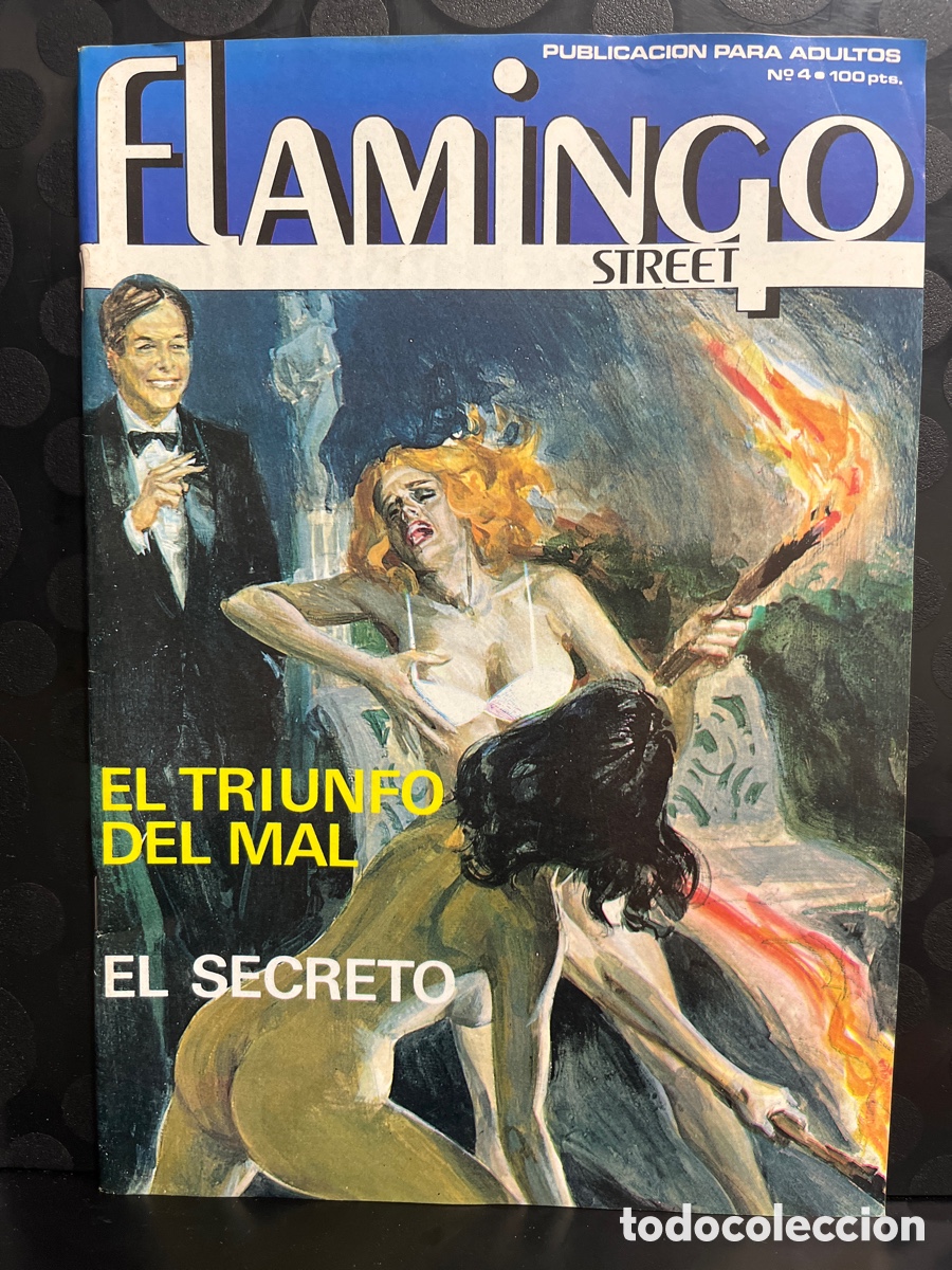 C&oacute;mics: FLAMINGO STREET N.3 PUBLICACI&Oacute;N PARA ADULTOS ( 1984/1988 )