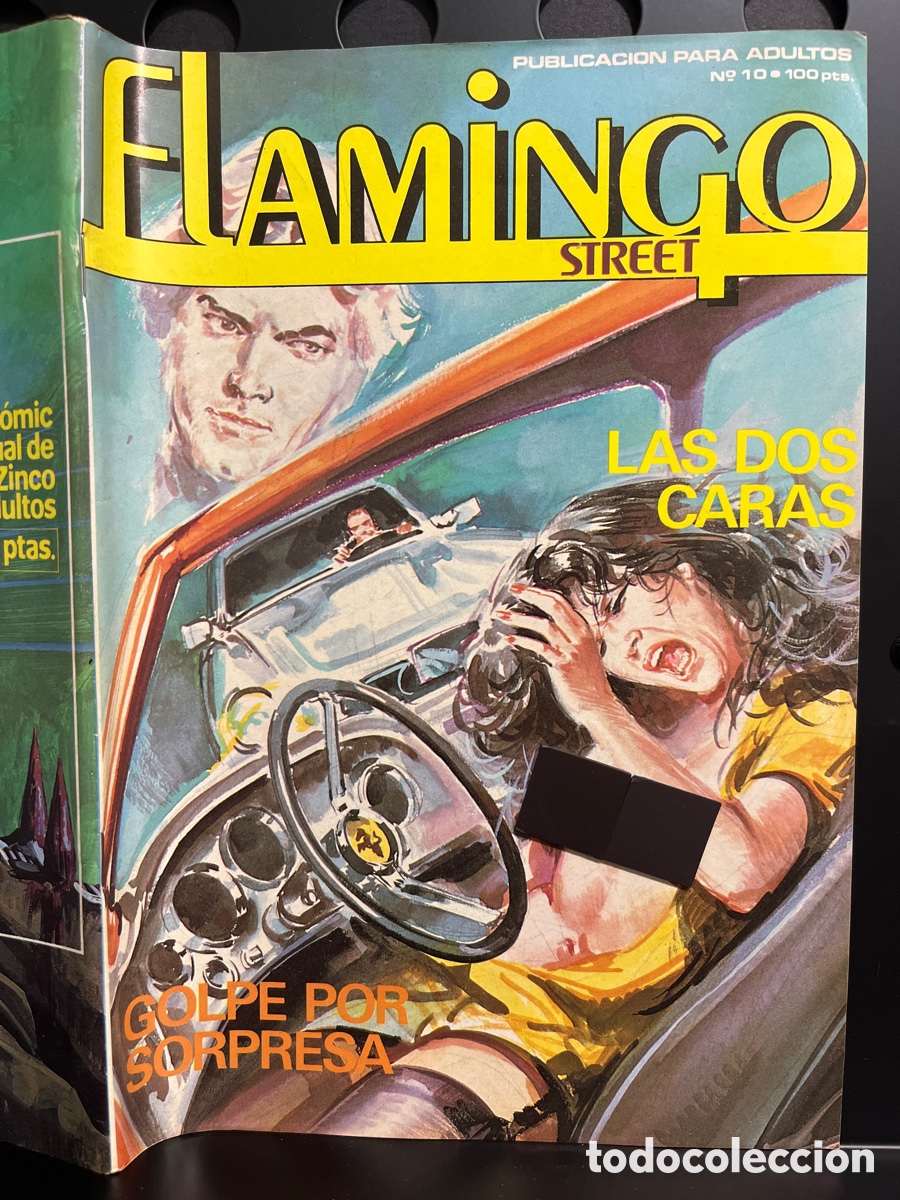 C&oacute;mics: FLAMINGO STREET N.10 PUBLICACI&Oacute;N PARA ADULTOS ( 1984/1988 )