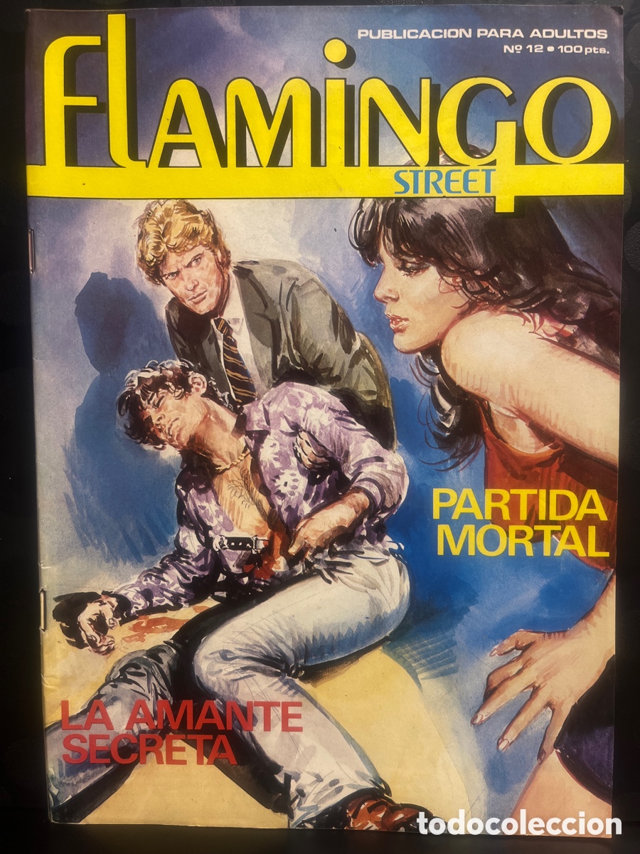 C&oacute;mics: FLAMINGO STREET N.12 PUBLICACI&Oacute;N PARA ADULTOS ( 1984/1988 )