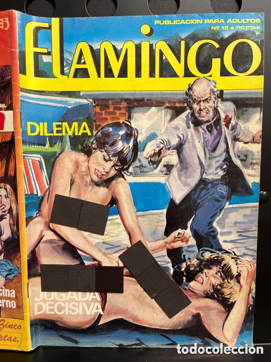 C&oacute;mics: FLAMINGO STREET N.15 PUBLICACI&Oacute;N PARA ADULTOS ( 1984/1988 )