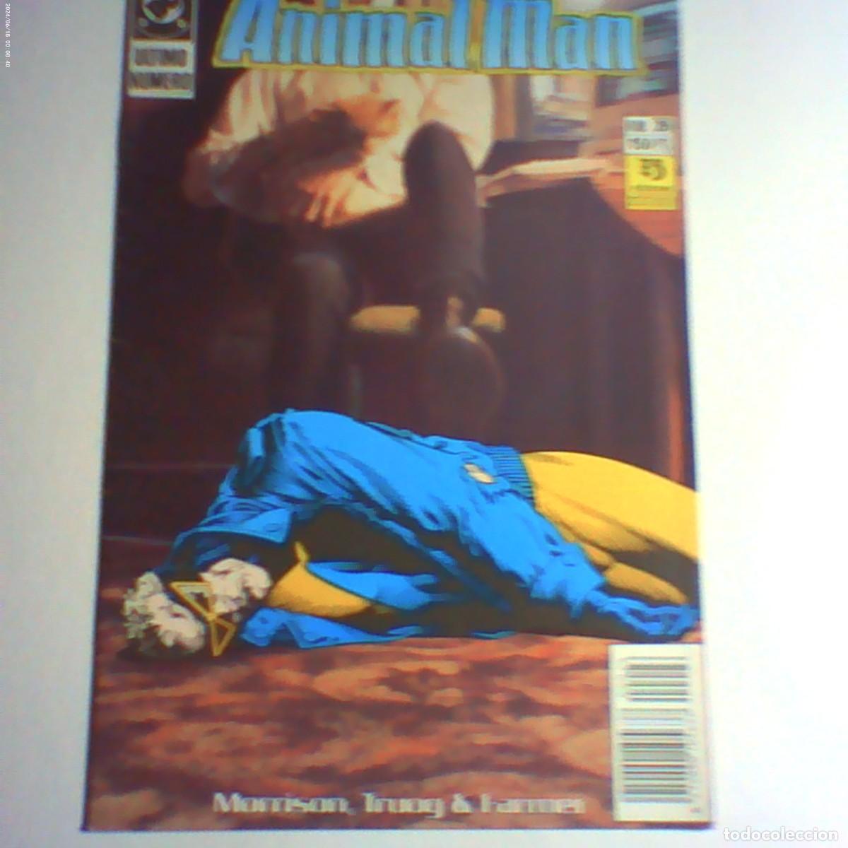 C&oacute;mics: animal man n&ordm; 26. diciones zinco 1989 (seminuevo)