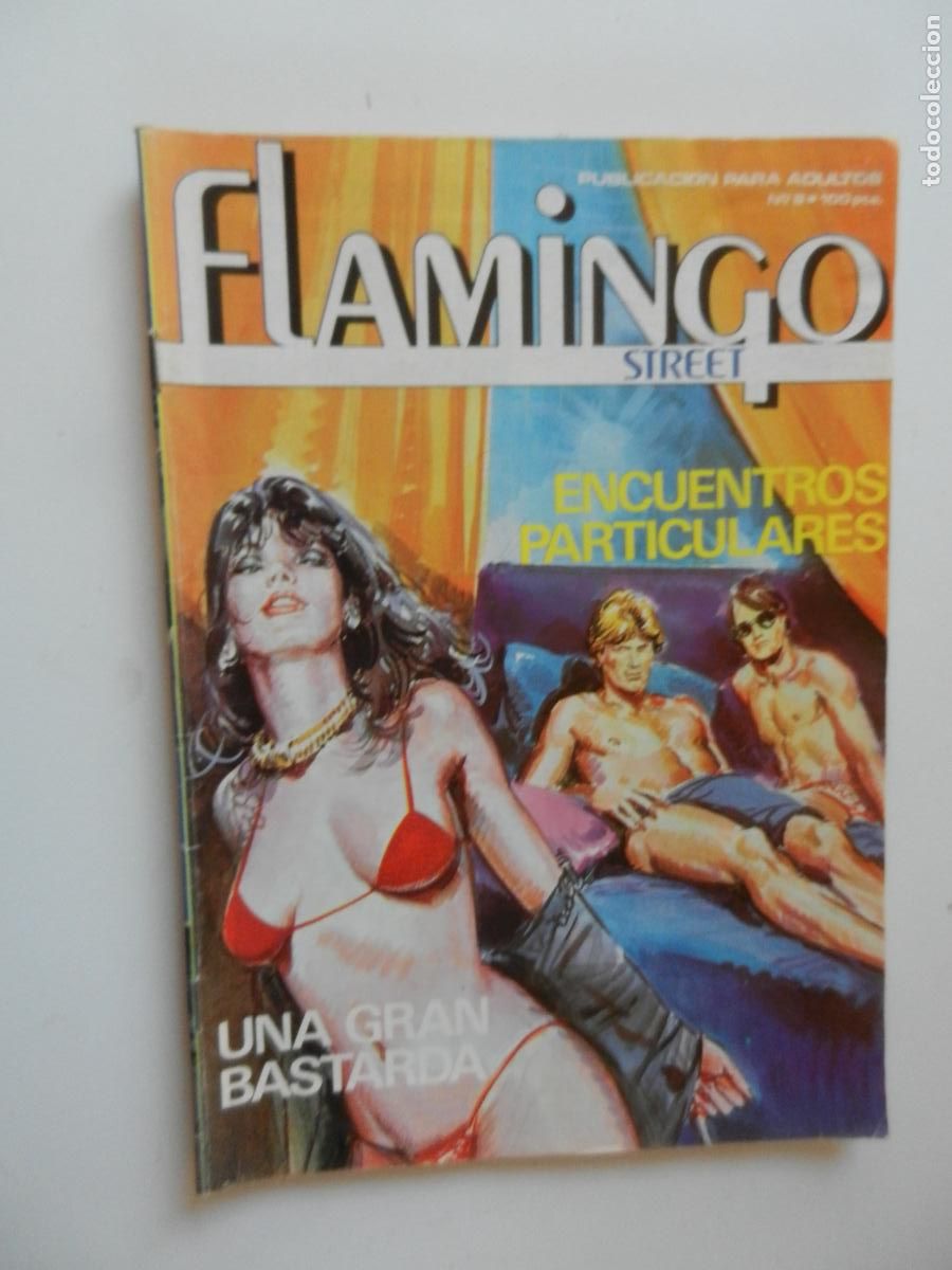 C&oacute;mics: FLAMINGO STREET - N&ordm; 9-ENCUENTROS PARTICULARES - UNA GRAN BASTARDA - COMICS ZINCO ADULTOS -