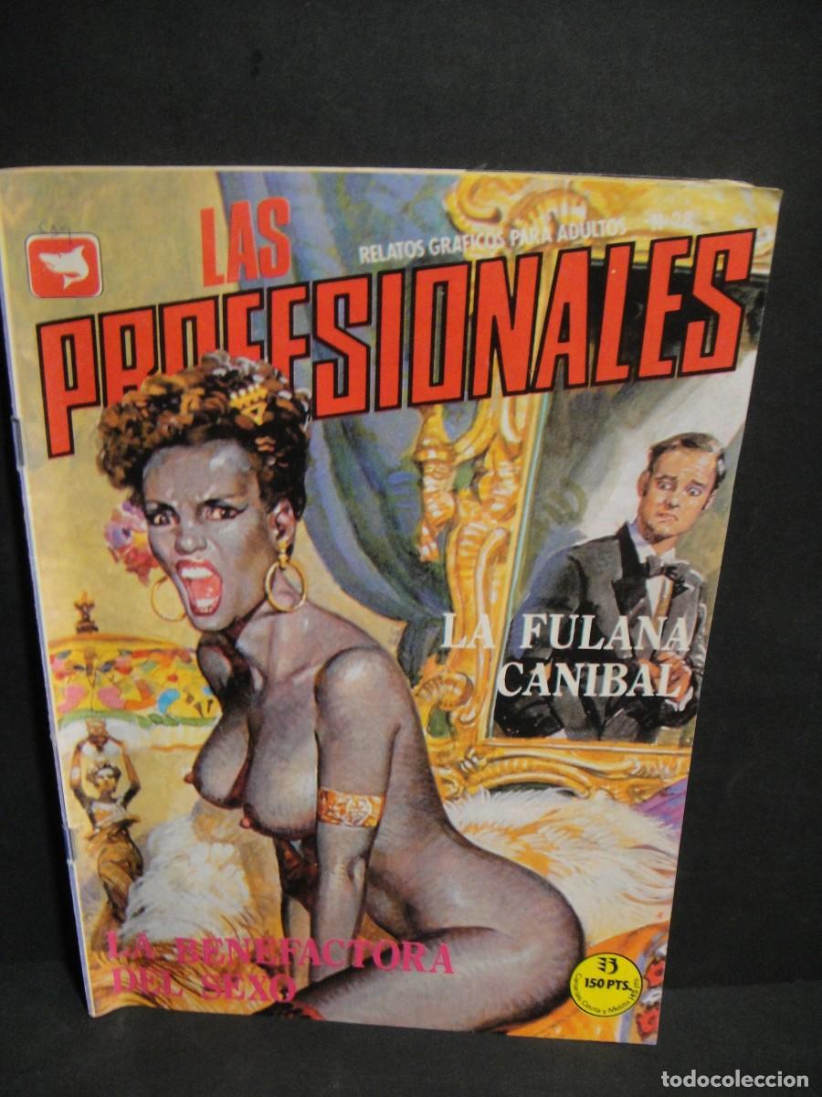 Comics : las profesionales n&ordm; 28 - ediciones zinco