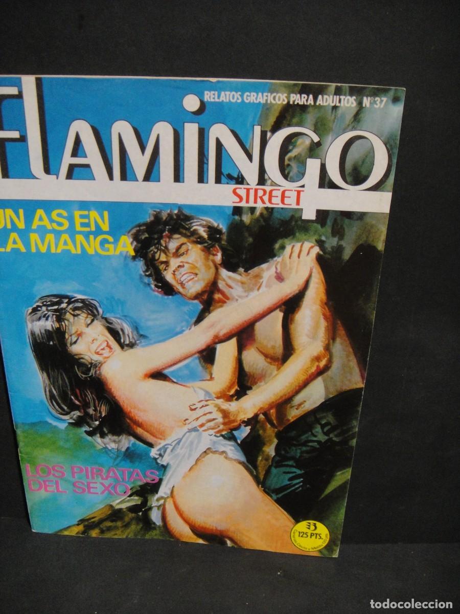 C&oacute;mics: flamingo n&ordm; 37 - ediciones zinco - Foto 1