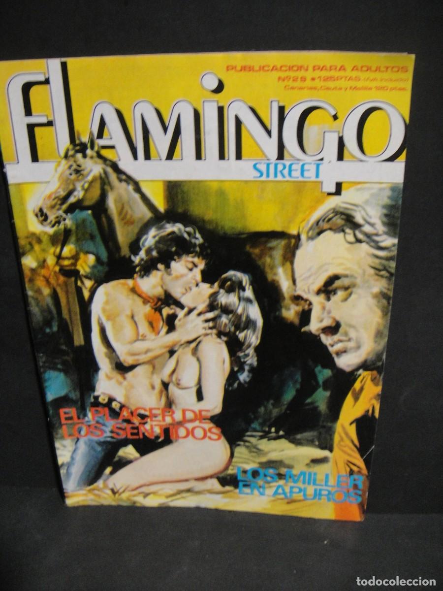 C&oacute;mics: flamingo n&ordm; 29 - ediciones zinco - Foto 1