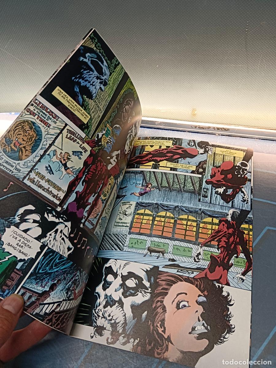 C&oacute;mics: Dos tomos, Deadman. Amor despu&eacute;s de La Muerte, DC c&oacute;mics, Zinco - Foto 6