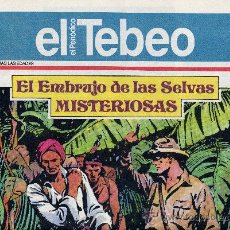 Cómics: EL TEBEO Nº 34 (SUPLEMENTO DE EL PERIÓDICO). PÁGINAS DE JORGE Y FERNANDO, MING FOO, GIN,... 
