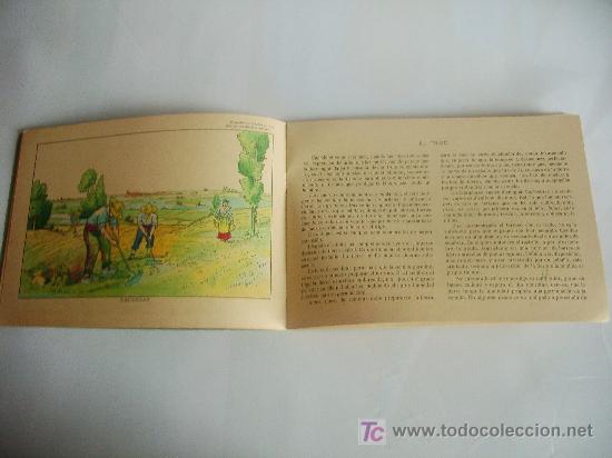 C&oacute;mics: Libro de dibujo sobre el Campo. Ed. Salvatella. - Foto 3
