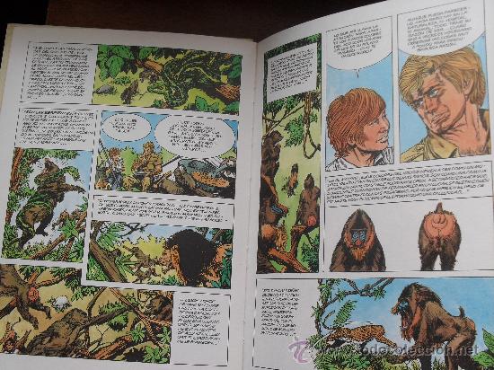 C&oacute;mics: COMIC - LA CADENA DE LA VIDA - FAUNA AFRICANA 5 -EDITORIAL COLUMNA - Foto 2