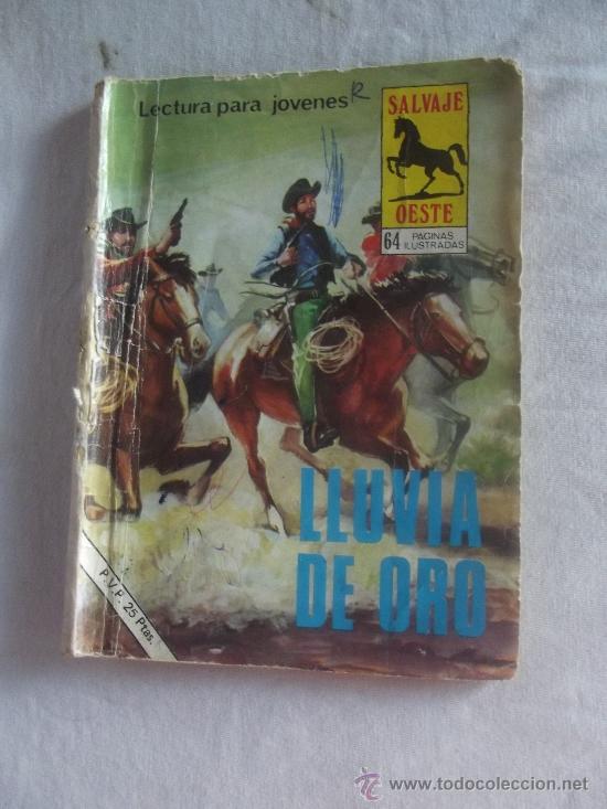 C&oacute;mics: NOVELA GRAFICA -  LLUVIA DE ORO - Foto 1