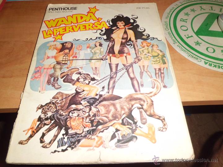 C&oacute;mics: wanda la perversa - Foto 1