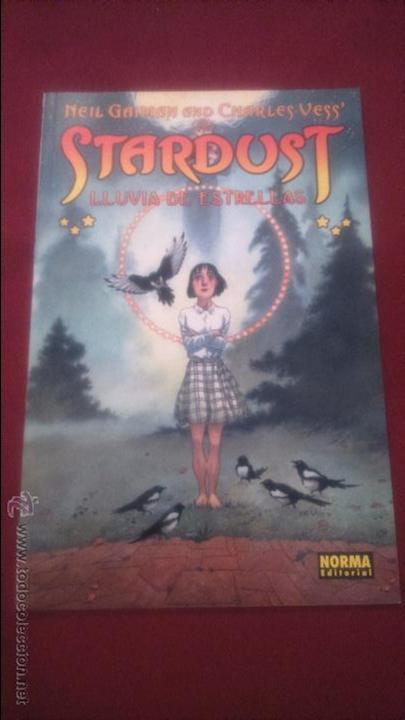 C&oacute;mics: STARDUST - LLUVIA DE ESTRELLAS - NEIL GAIMAN - Foto 1