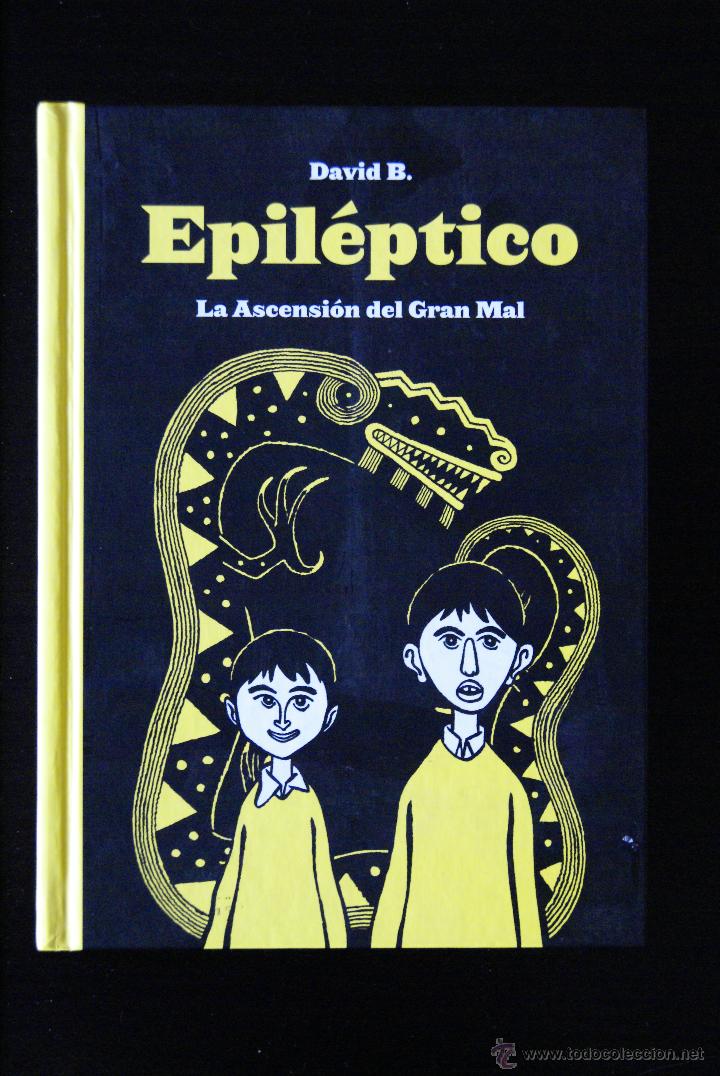 C&oacute;mics: Epil&eacute;ptico, David Beauchard. Ediciones Sinsentido, 2009. - Foto 1