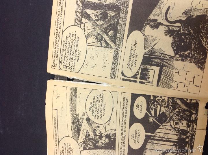 C&oacute;mics: Plantas canibales - Foto 3