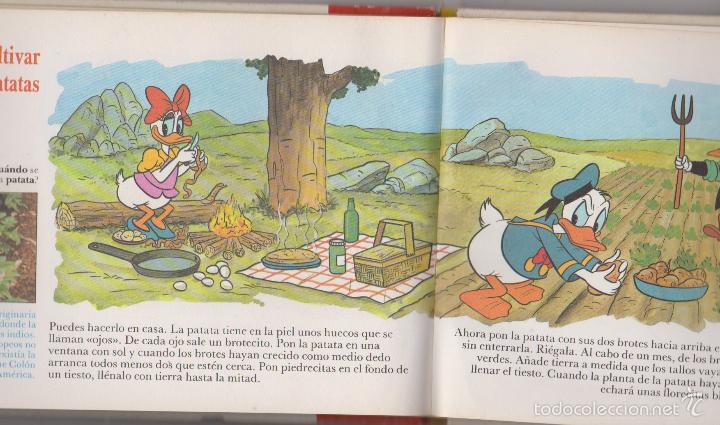 C&oacute;mics: ES DIVERTIDO CONOCER N&ordm; 23 PATO DONALD - Foto 2
