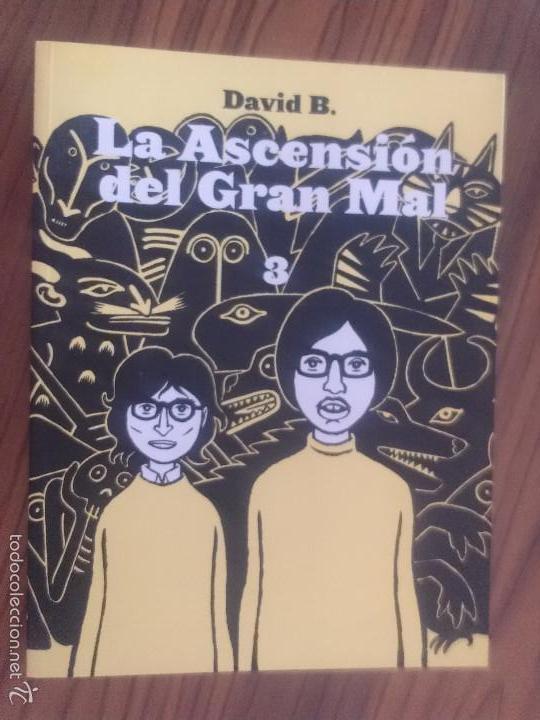 C&oacute;mics: LA ASCENSI&Oacute;N DEL GRAN MAL 3. EDICIONES SIN SENTIDO. DAVID B. BUEN ESTADO. E12 1 - Foto 1