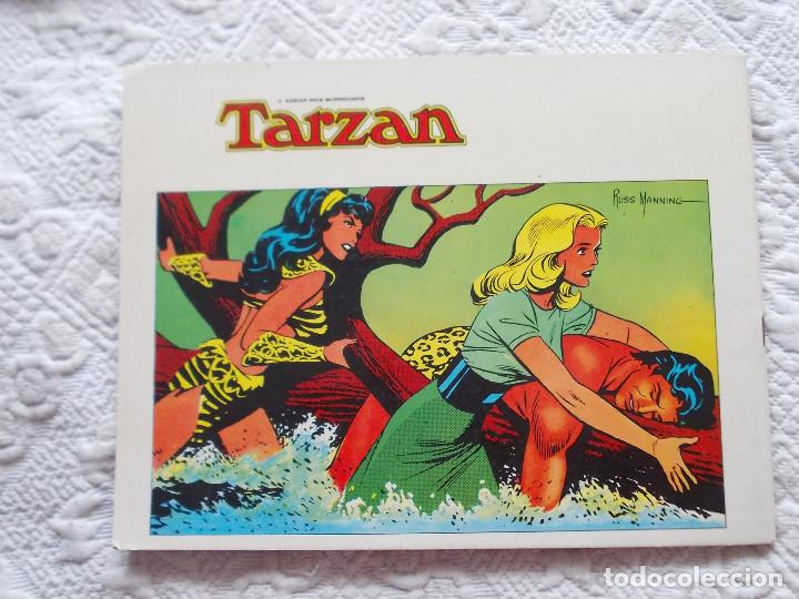 C&oacute;mics: Tarzan n&ordm; 1 De Russ Manning. Editorial B-O - Foto 3