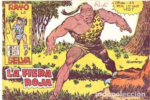 C&oacute;mics: El Rayo de la selva (Maga)  N&ordm; 20 - Foto 1