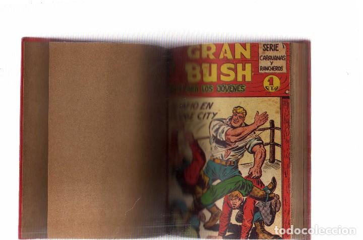 C&oacute;mics: El gran bush 35 N&ordm; completa original en 2 tomitos como nueva - Foto 1