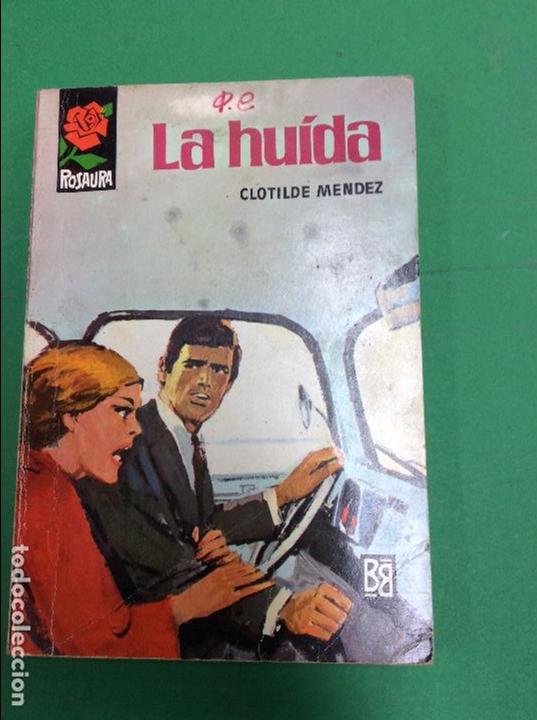 C&oacute;mics: Rosaura- la huida - Foto 1