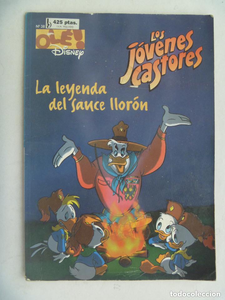 C&oacute;mics: OLE ! DISNEY . LOS JOVENES CASTORES . EDICIONES Z. - Foto 1
