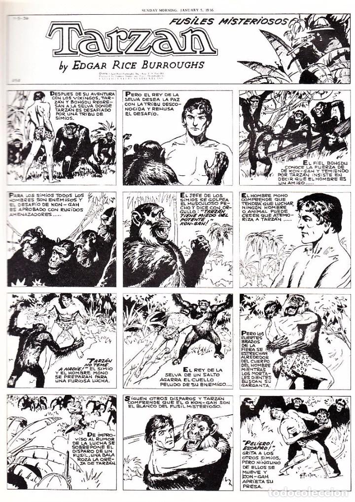 C&oacute;mics: TARZAN de Burne Hogarth. Colecci&oacute;n completa (8 tomos) Ed. Joaquin Esteve, 1982. - Foto 2