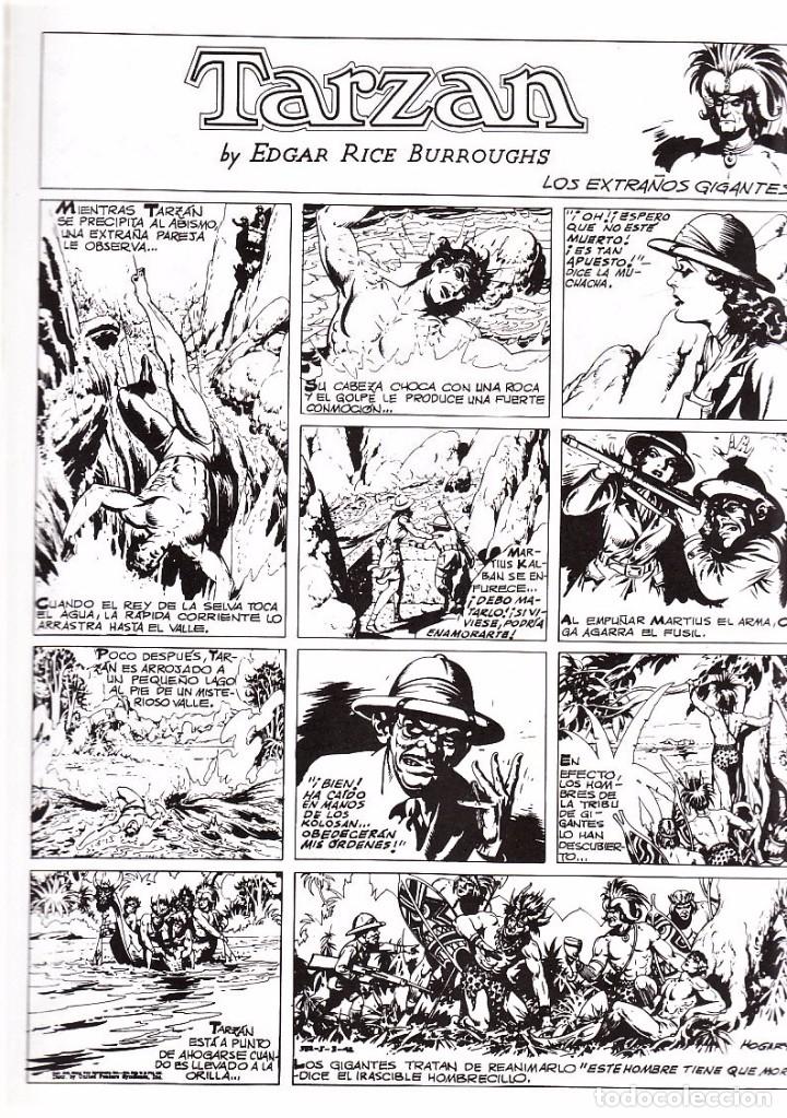 C&oacute;mics: TARZAN de Burne Hogarth. Colecci&oacute;n completa (8 tomos) Ed. Joaquin Esteve, 1982. - Foto 3