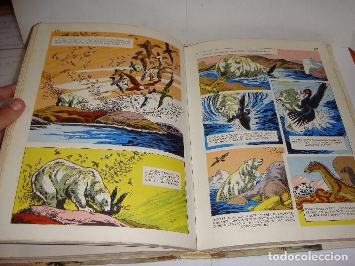 C&oacute;mics: PEL&Iacute;CULAS N&ordm; VIII (8). 1968. WALT DISNEY. - Foto 5