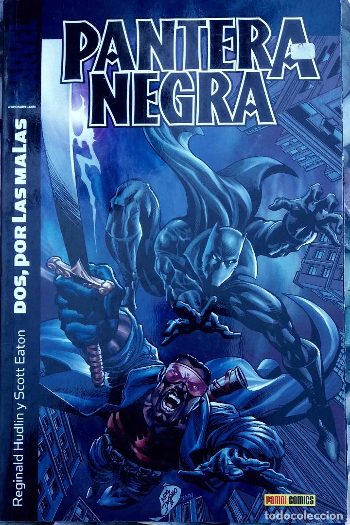 C&oacute;mics: PANTERA NEGRA. DOS, POR LAS MALAS. C&Oacute;MIC - Foto 1