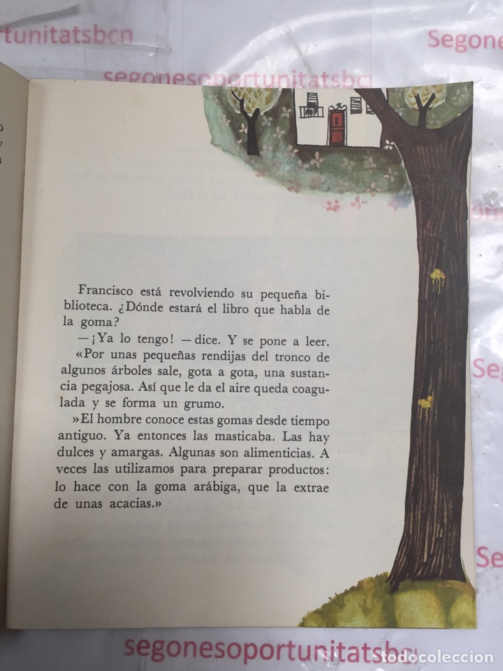 C&oacute;mics: Cuento infantil QU&Eacute; ES LA GOMA de 1980 editorial TEIDE 2 edici&oacute;n - Foto 3